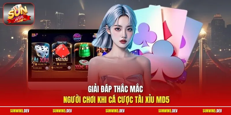 Giải đáp thắc mắc người chơi khi cá cược Tài Xỉu MD5